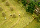 Bild 037